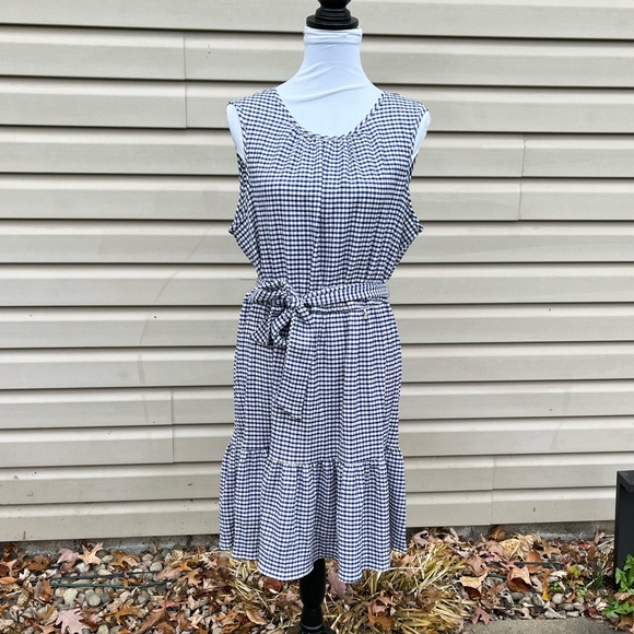 NWT DKNY Navy and White Checked Gingham Sleeveless Fit and Flare Trapeze Dress - Picture 4 of 8